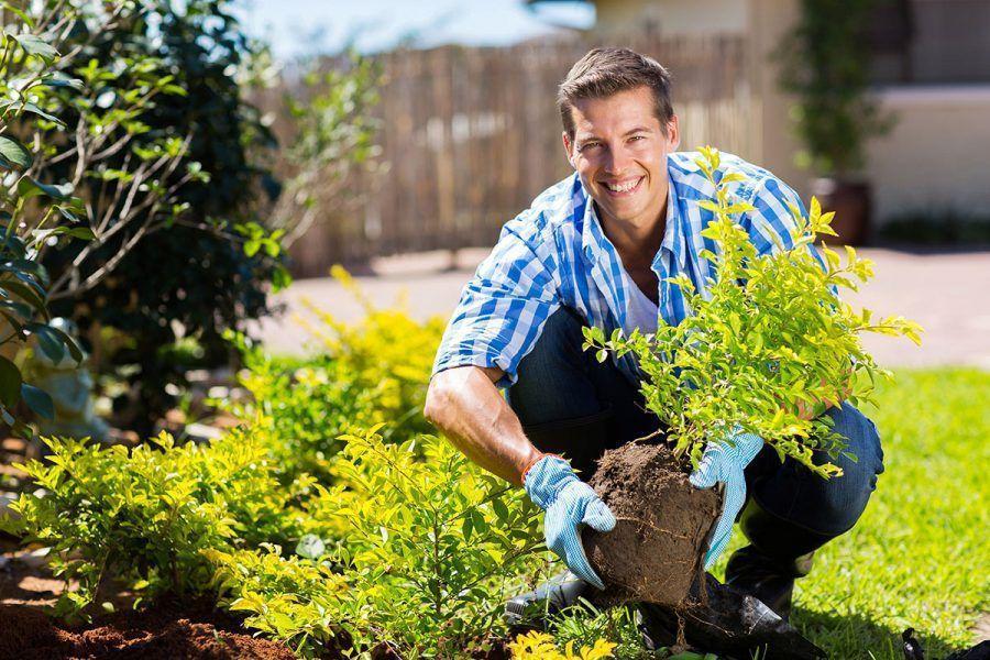 gardener